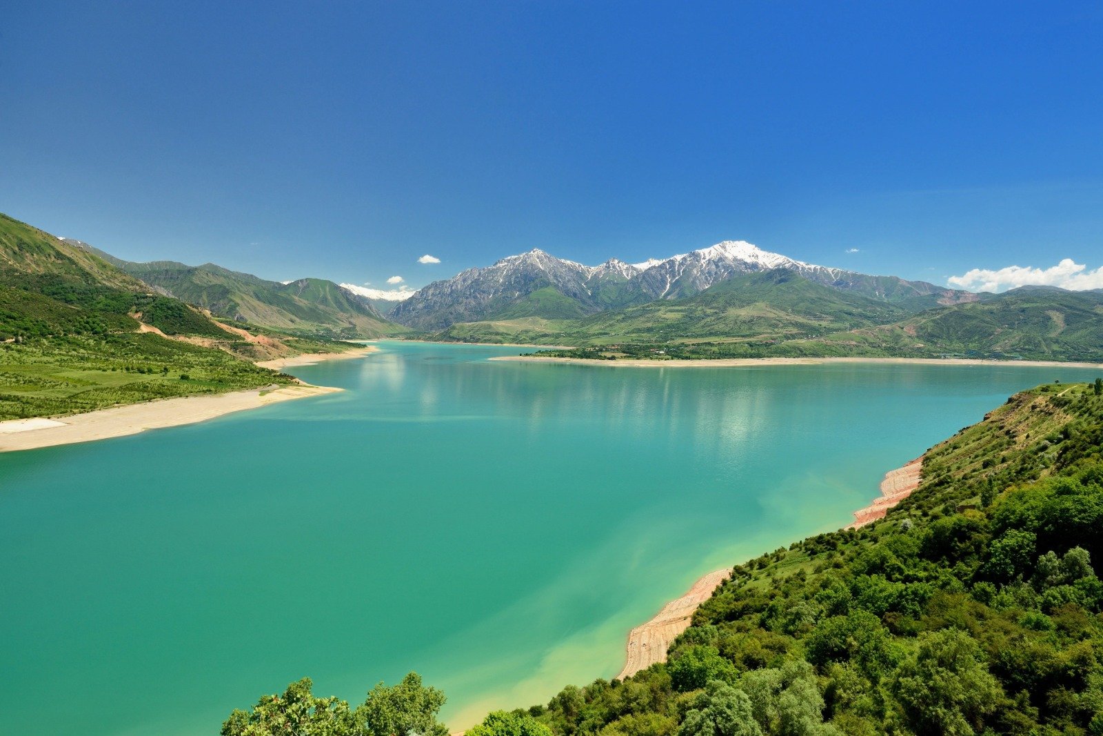Tashkent